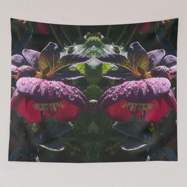 Item preview, Brilliant Magenta Hellebore Divine designed and sold by RoseAromas.