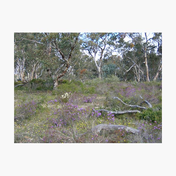 Item preview, Wild flower spring field designed and sold by Pam Wilkie.