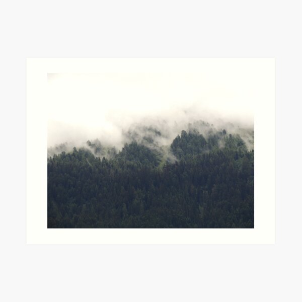 Forêt calme Impression artistique