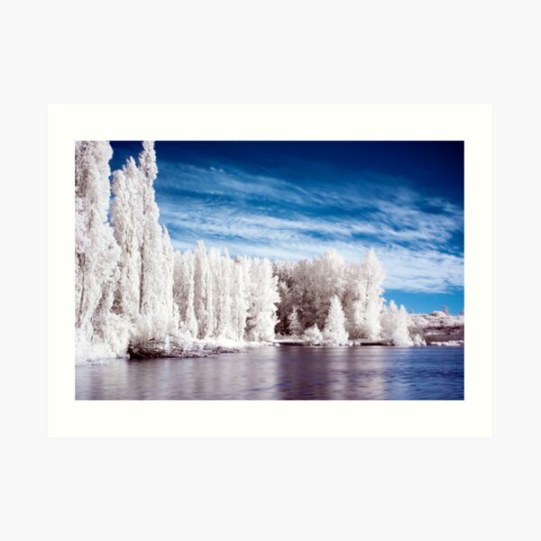 Lake Waughop Art Print