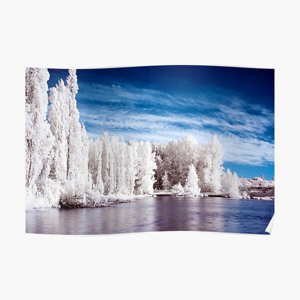 Lake Waughop Poster