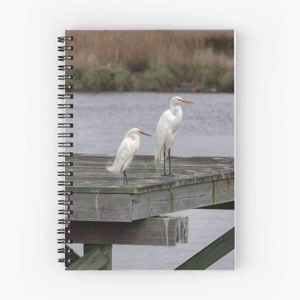 Item preview, Charleston, South Carolina | Pelican | Snowy egret | Great egret hanging out on the creek designed and sold by 9BPRCP.