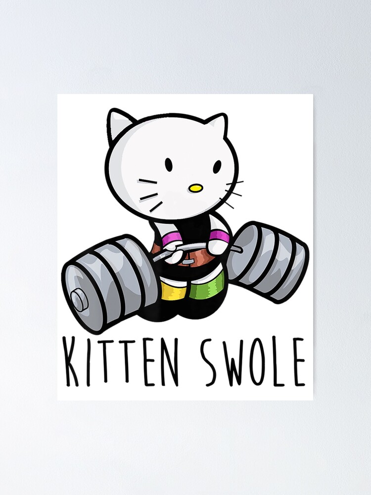 Kitten gym hotsell