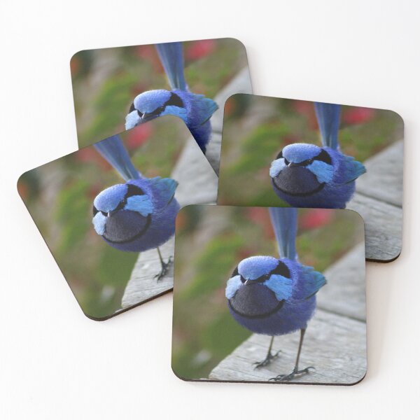 Item preview, Splendid Fairy-Wren or Blue Wren (Malurus splendens) designed and sold by Marilyn Harris.