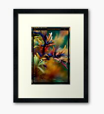 colours Framed Print