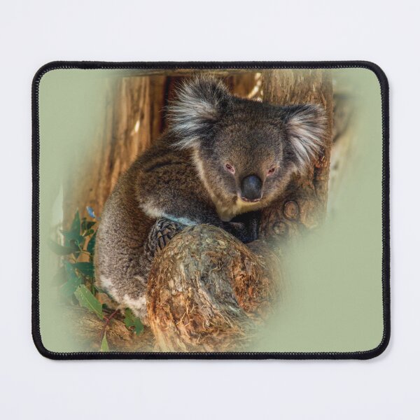 Item preview, Koala designed and sold by indiafrankk.