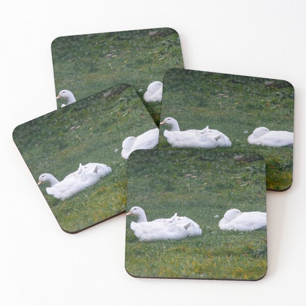Item preview, white ducks designed and sold by Francespoppy.