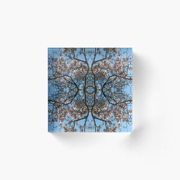 Magnolia Angel Acrylic Block