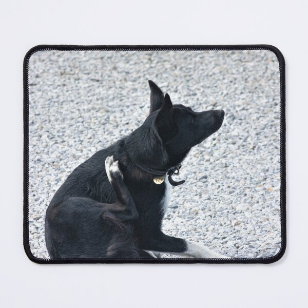 Item preview, dog designed and sold by Francespoppy.