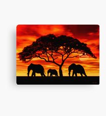 Acacia Elephant Sunset Canvas Print