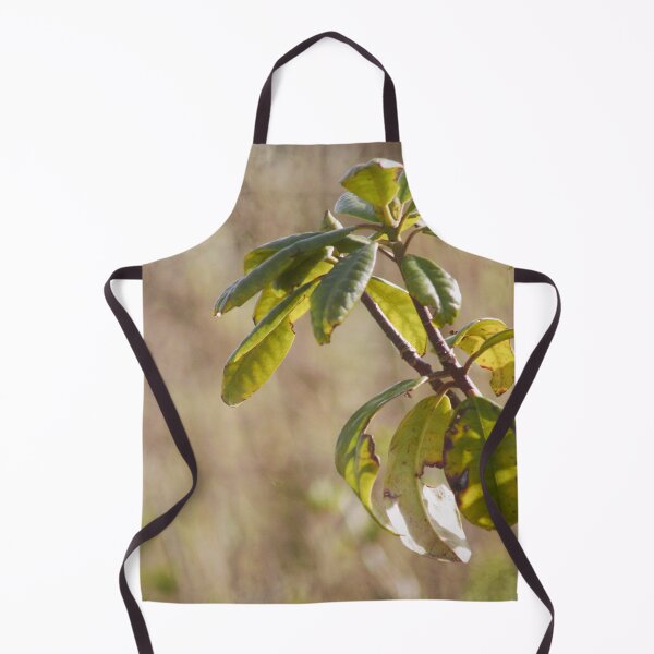 Item preview, plant designed and sold by Francespoppy.