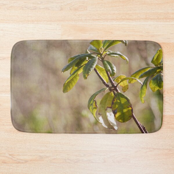 Item preview, plant designed and sold by Francespoppy.