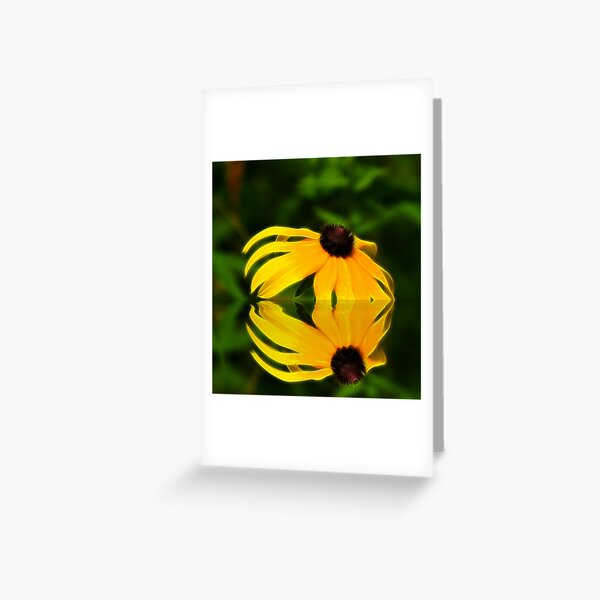 Wild Daisy Greeting Card