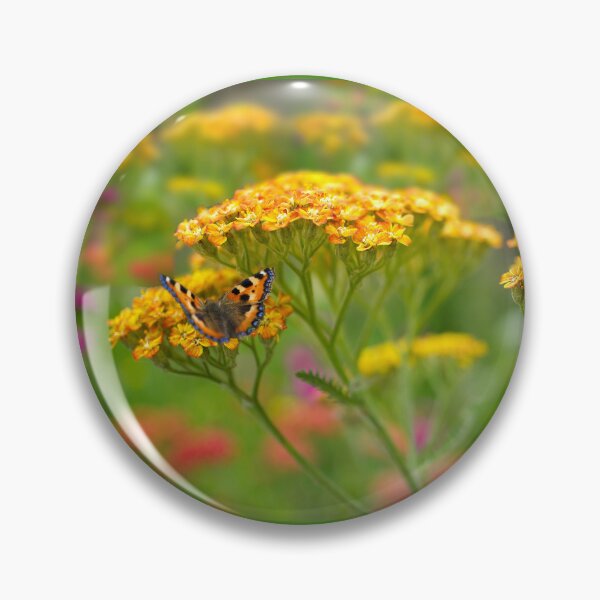Item preview, Butterfly On Yarrow  designed and sold by Alisonchambers2.