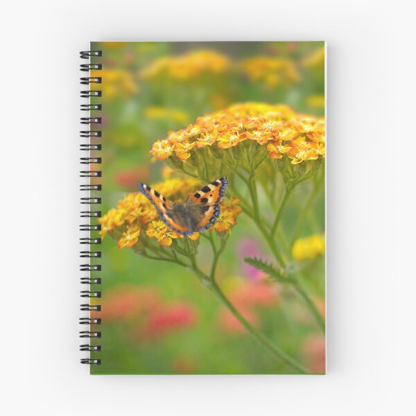 Item preview, Butterfly On Yarrow  designed and sold by Alisonchambers2.