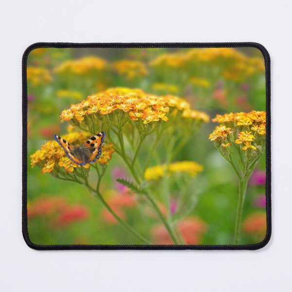 Item preview, Butterfly On Yarrow designed and sold by Alisonchambers2.