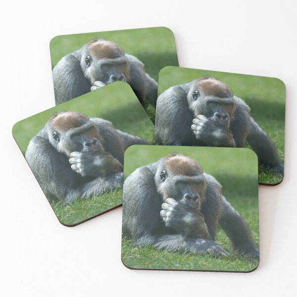 Item preview, Thumb Sucking Gorilla designed and sold by rawshutterbug.