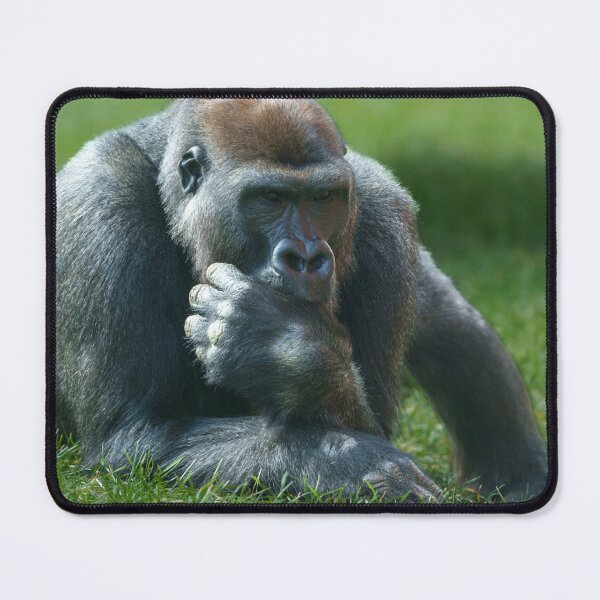 Item preview, Thumb Sucking Gorilla designed and sold by rawshutterbug.