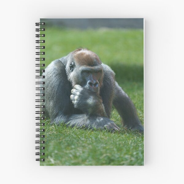 Item preview, Thumb Sucking Gorilla designed and sold by rawshutterbug.