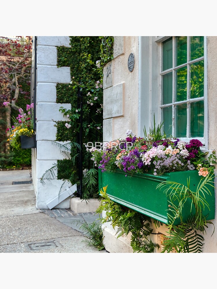 "Charleston, South Carolina Downtown Flower Boxes" Poster for Sale