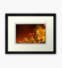 red & orange Framed Print