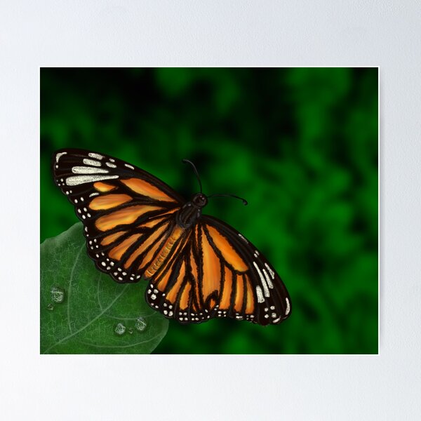 Item preview, Monarch Butterfly designed and sold by Tedoradesign87.