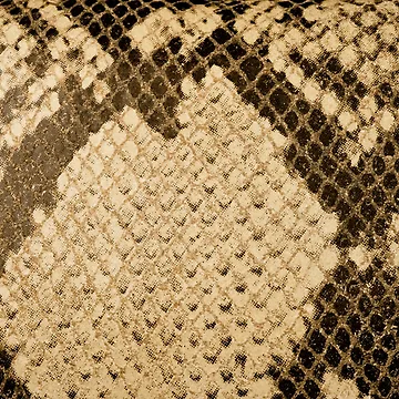 Artwork thumbnail, Python Skin by VanOostrum