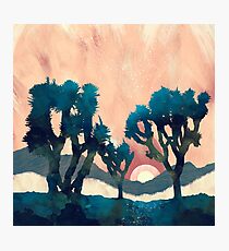 Sunset Desert Canyon Photographic Print