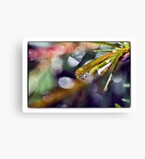 droplet Canvas Print