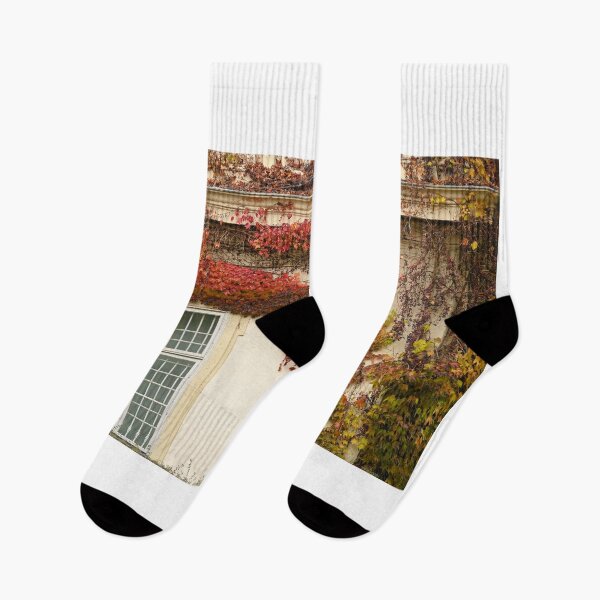 Item preview, the wall of an old house covered with creeper leafs autumn season Vienna  designed and sold by goceris.