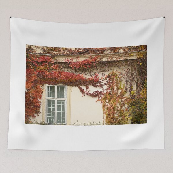 Item preview, the wall of an old house covered with creeper leafs autumn season Vienna  designed and sold by goceris.
