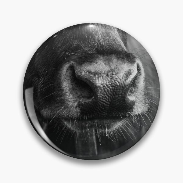 Item preview, Detail image cow designed and sold by Jessinia Wallach.