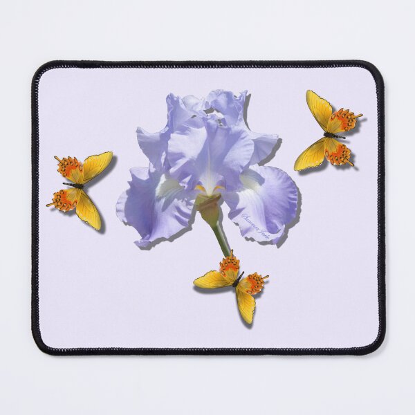 Item preview, Sheer Elegance ~ This Iris designed and sold by SummerJade.