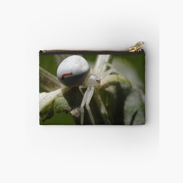 Item preview, Misumena vatia designed and sold by Mythos57.
