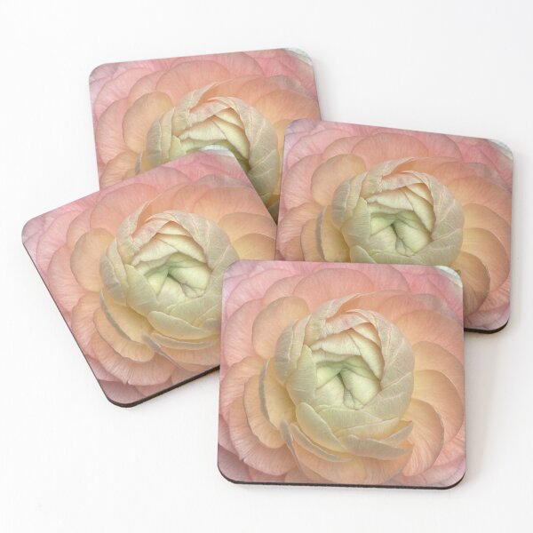 Item preview, ranunculus designed and sold by CiaoBellaJenny.