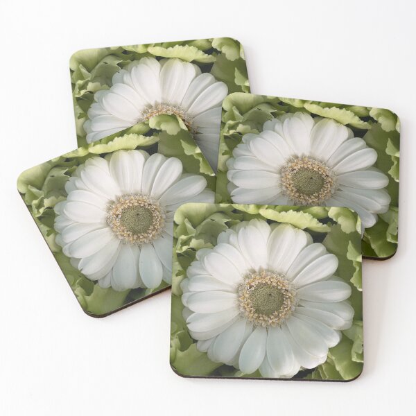 Item preview, gerberas designed and sold by CiaoBellaJenny.