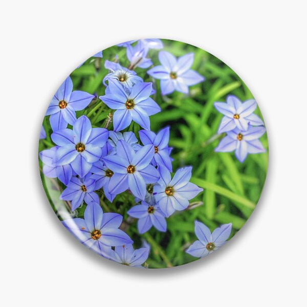 Item preview, Spring Starflowers designed and sold by PollyStewart.
