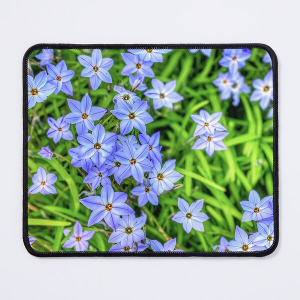 Item preview, Spring Starflowers designed and sold by PollyStewart.