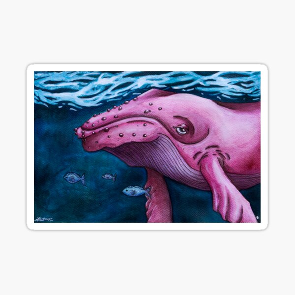 Pink Whale Sticker