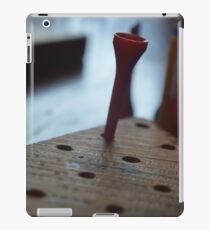 genius iPad Case/Skin