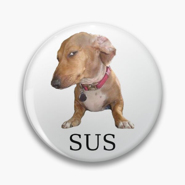 amazing Button: SUS meme Download