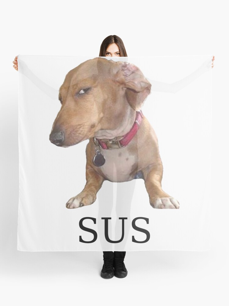 Sus dog meme Pet Mat for Sale by TheBigSadShop