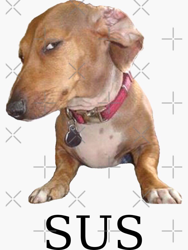 "Sus dog" Sticker for Sale by Redbubble
