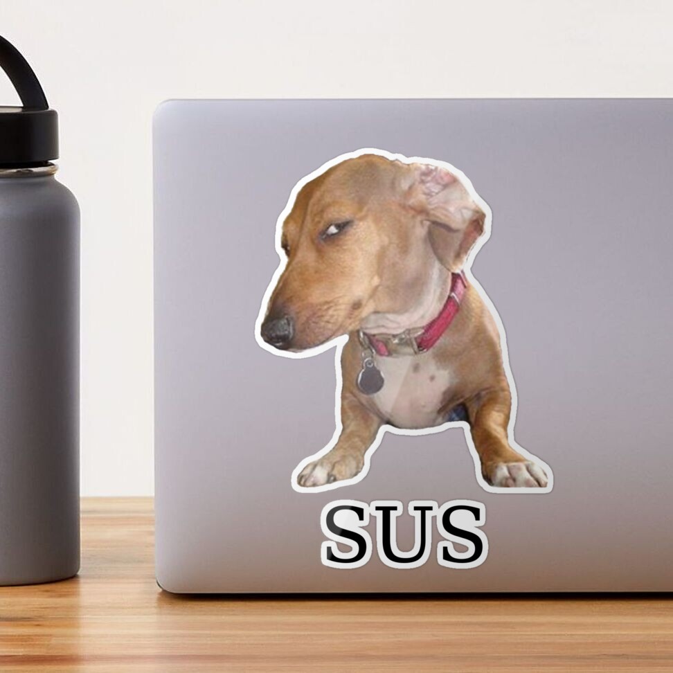 Sus dog Sticker for Sale by TheBigSadShop