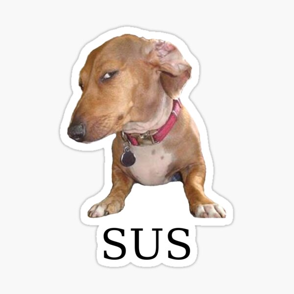 Sus (suspicious) simple funny meme red' Sticker