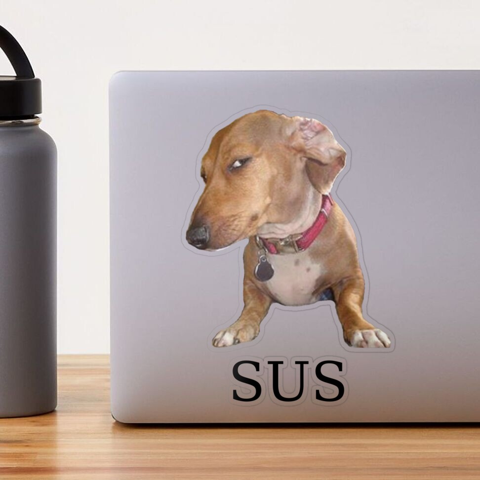 Sus dog meme Sticker for Sale by TheBigSadShop