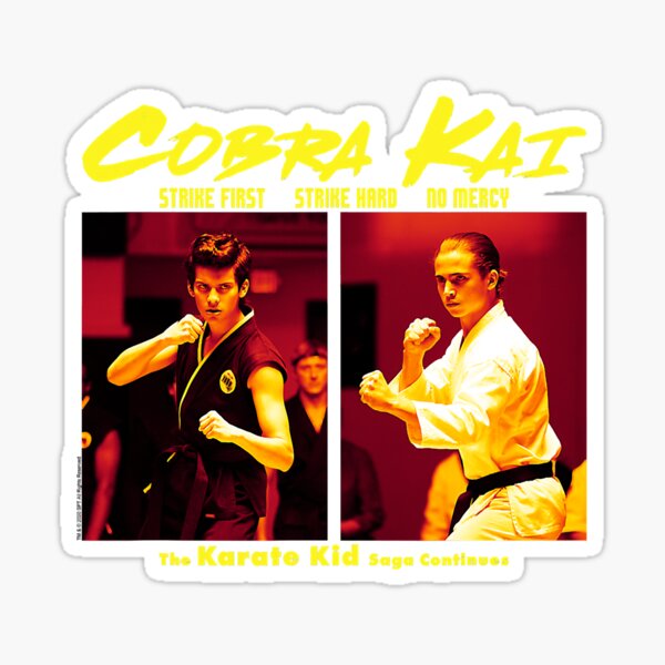 Cobra Kai The Saga Continues Posterkungfu Sticker For Sale By