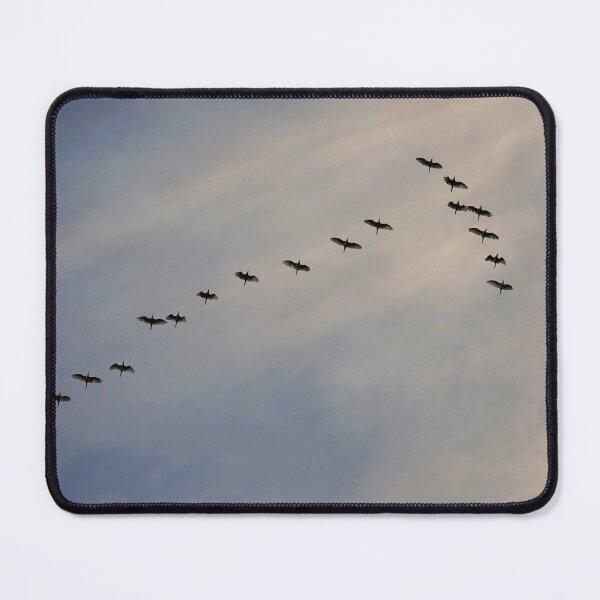 Item preview, Flock of Birds Flying in Serene Sunset Sky - Tranquil Nature Photography designed and sold by CarolinaReina.