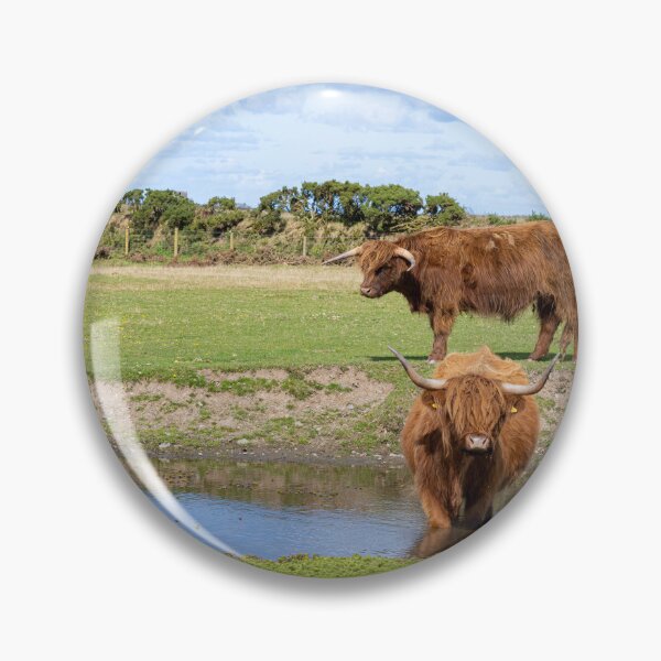 Item preview, Watering hole,Highland cattle designed and sold by kathleenjean.