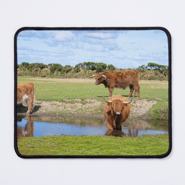 Item preview, Watering hole,Highland cattle designed and sold by kathleenjean.